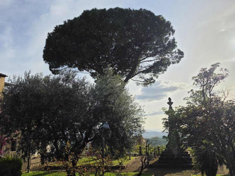 Amalfi 2026