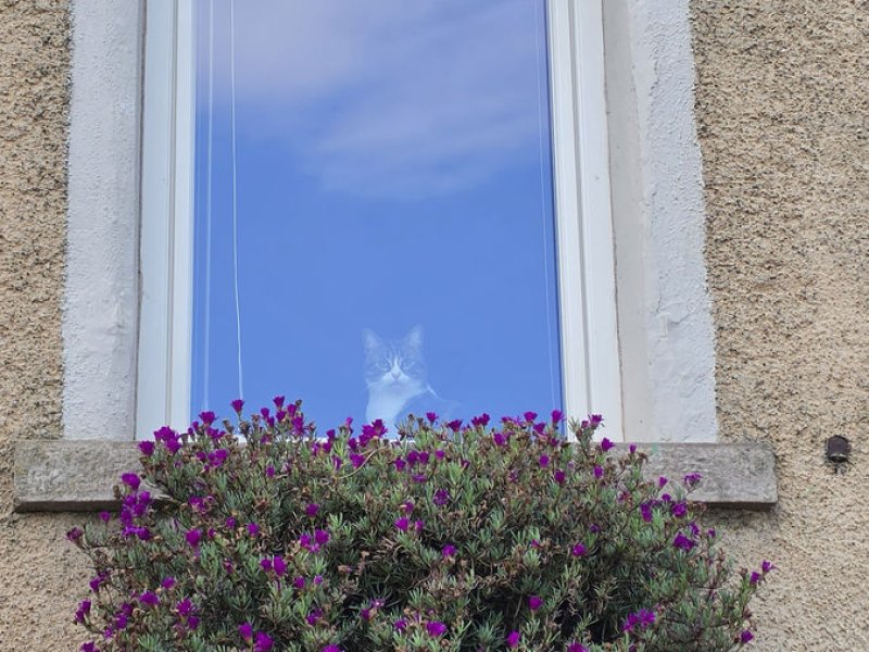 Amalfi 2026